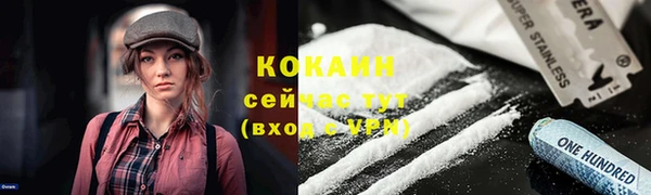 твердый Аркадак