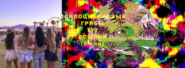 твердый Аркадак
