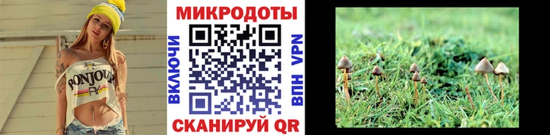 Галлюциногенные грибы MAGIC MUSHROOMS Старая Русса
