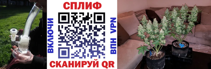 наркотики  KRAKEN ONION  Каннабис конопля  Старая Русса 